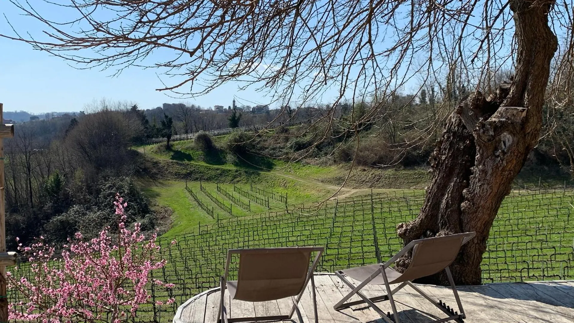 Ca'Vittoria - Prosecco Experience - Unesco Conegliano